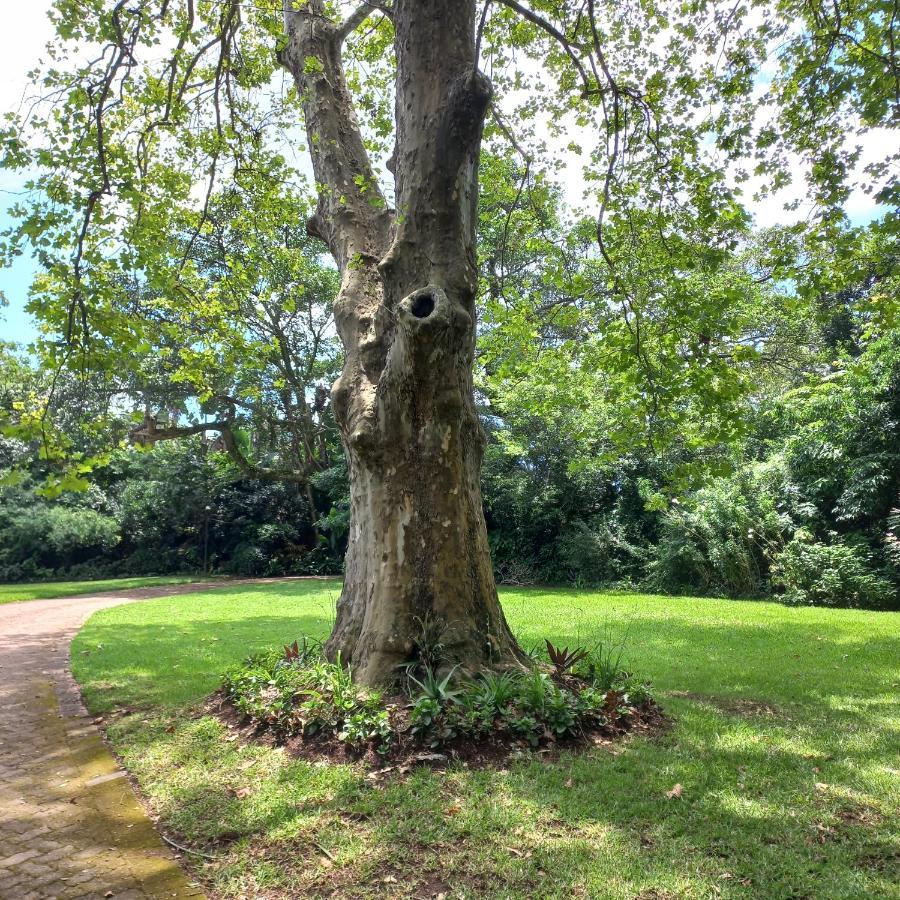 18 Pioneer Bnb Kloof Kültér fotó