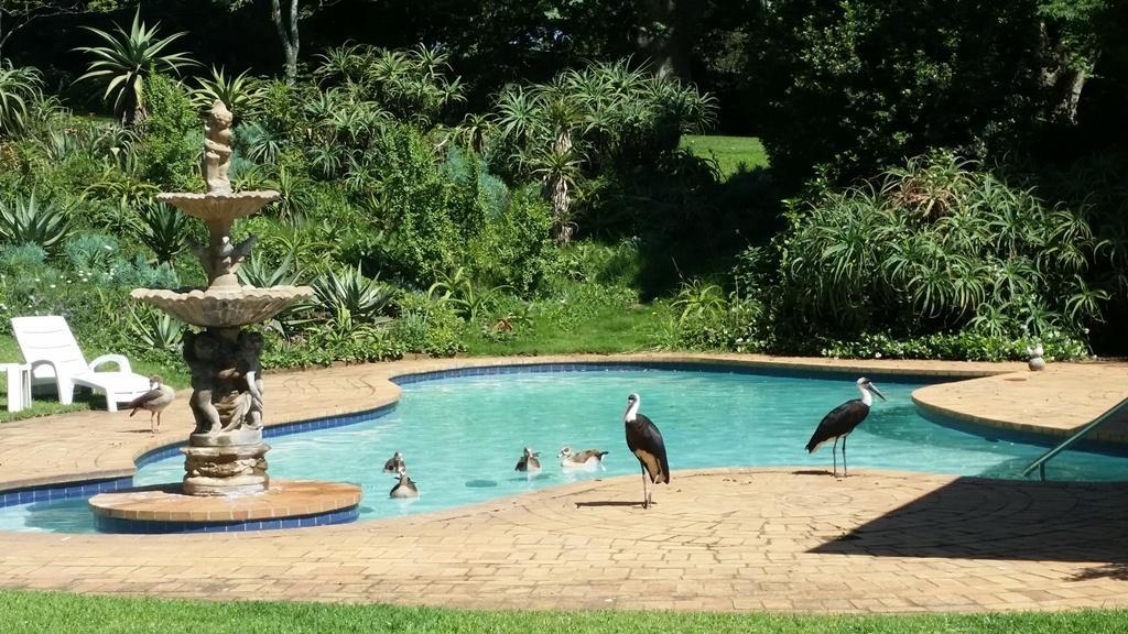 18 Pioneer Bnb Kloof Kültér fotó